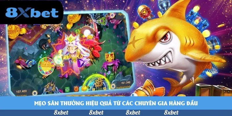 Mẹo săn thưởng hiệu quả từ các chuyên gia hàng đầu