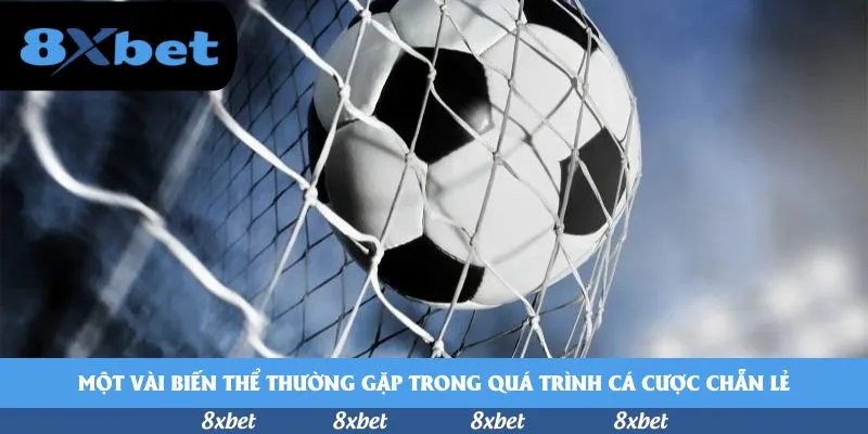 Một vài biến thể thường gặp trong quá trình cá cược chẵn lẻ