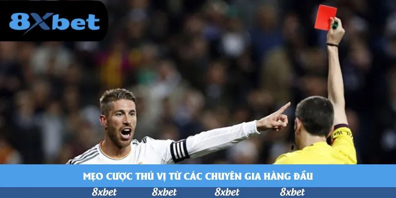 Mẹo cược thú vị từ các chuyên gia hàng đầu