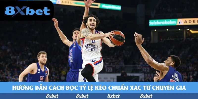 Hướng dẫn cách đọc tỷ lệ kèo chuẩn xác từ chuyên gia
