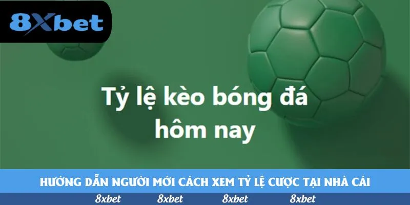 Hướng dẫn người mới cách xem tỷ lệ cược tại nhà cái
