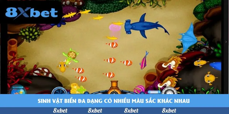 Sinh vật biển đa dạng có nhiều màu sắc khác nhau 